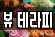 제주 제주시 도련이동 마사지, 지압등 업체정보