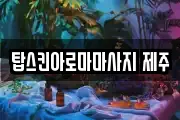 탑스킨아로마마사지 제주
