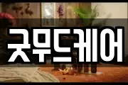 굿무드케어