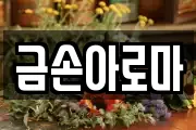 금손아로마