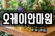 오케이안마원