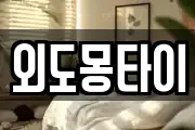 외도몽타이