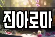 진아로마