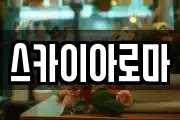 제주 제주시 외도일동 마사지, 지압등 업체정보