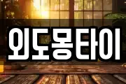 외도몽타이
