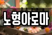 노형아로마