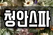 청안스파