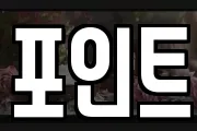 포인트