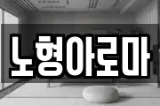 노형아로마