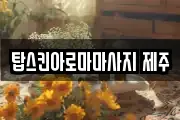탑스킨아로마마사지 제주