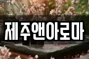 제주앤아로마