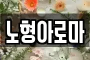 노형아로마