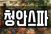 청안스파
