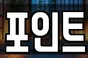 포인트