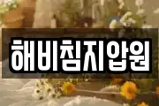 해비침지압원