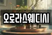 오로라스웨디시