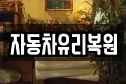 자동차유리복원