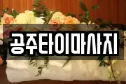충남 공주시 금성동 마사지, 지압등 업체정보