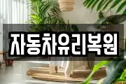 자동차유리복원