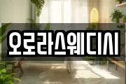 오로라스웨디시