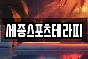 세종스포츠테라피