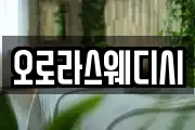 오로라스웨디시