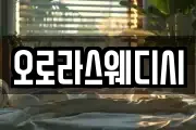 오로라스웨디시