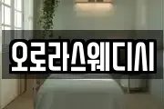 오로라스웨디시
