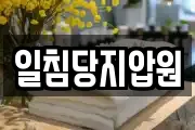 일침당지압원