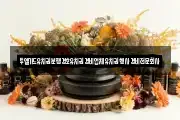 투엘가드유치권분쟁경호유치권경비업체유치권행사경비전문회사