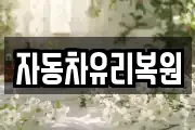 자동차유리복원