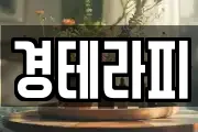 경테라피