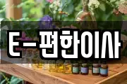 E-편한이사