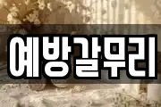 충남 논산시 상월면 마사지, 지압등 업체정보