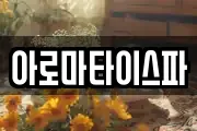 아로마타이스파
