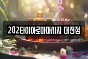 202타이아로마마사지 대전점