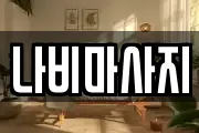 나비마사지