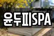 윤두피SPA
