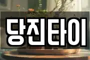 당진타이