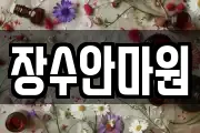 장수안마원