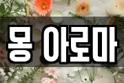 몽 아로마