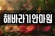 해바라기안마원
