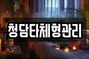청담타체형관리