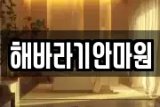 해바라기안마원