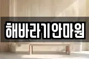 해바라기안마원