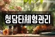 청담타체형관리