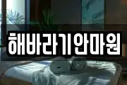 해바라기안마원