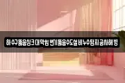 하수구뚫음싱크대막힘변기뚫음수도설비누수탐지공사해빙