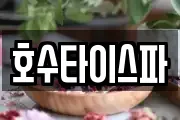 호수타이스파