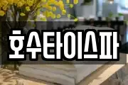 호수타이스파